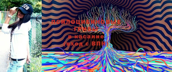 Альфа ПВП Арсеньев
